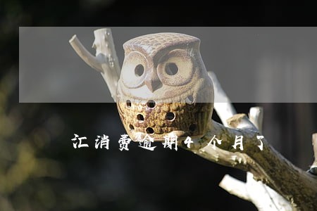 汇消费逾期4个月了 汇消费逾期4个月了