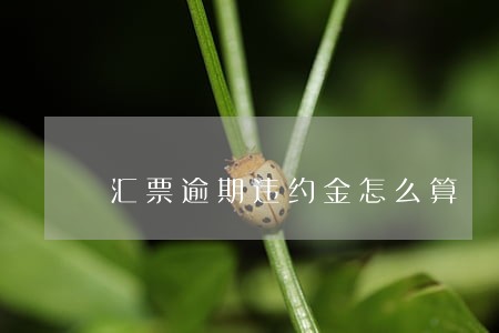 汇票逾期违约金怎么算 汇票逾期违约金怎么算