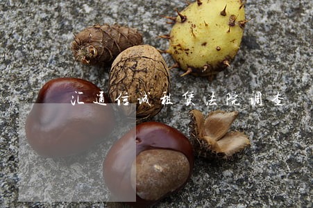 汇通信诚租赁法院调查 汇通信诚租赁法院调查