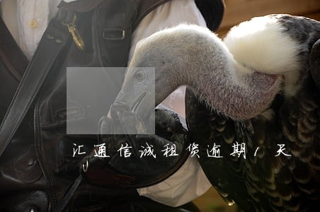 汇通信诚租赁逾期1天 汇通信诚租赁逾期1天