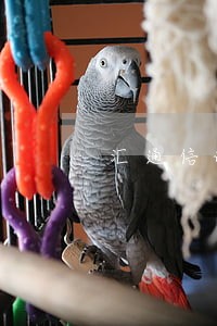 汇通信诚租赁逾期21天 汇通信诚租赁逾期21天