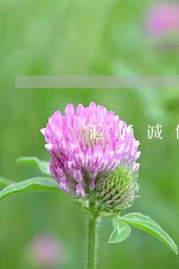 汇通诚信车贷逾期3天 汇通诚信车贷逾期3天
