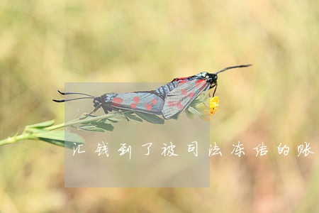 汇钱到了被司法冻结的账户