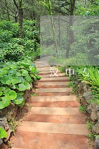 汉中专业房产律师 汉中专业房产律师