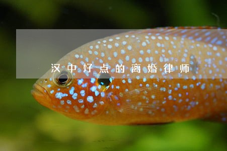 汉中好点的离婚律师