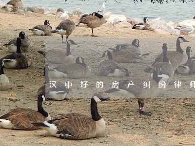 汉中好的房产纠纷律师所 汉中好的房产纠纷律师所