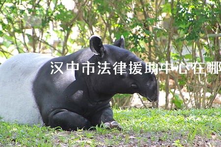 汉中市法律援助中心在哪