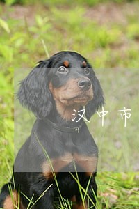汉中市法院史向阳 汉中市法院史向阳