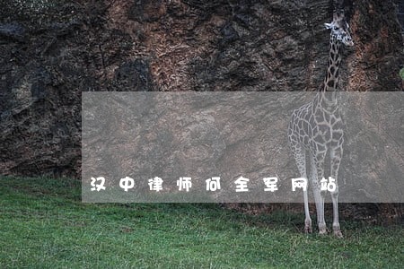 汉中律师何全军网站 汉中律师何全军网站