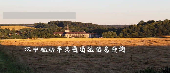 汉中机动车交通违法信息查询