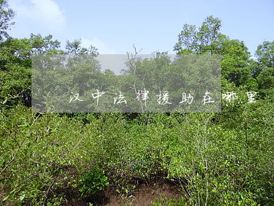 汉中法律援助在哪里 汉中法律援助在哪里
