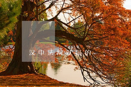 汉中法院就是的 汉中法院就是的
