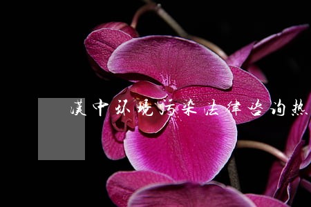 汉中环境污染法律咨询热线 汉中环境污染法律咨询热线