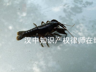 汉中知识产权律师在线免费咨询 汉中知识产权律师在线免费咨询