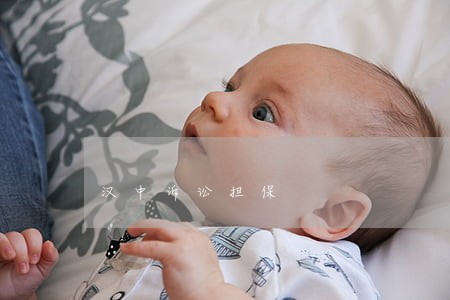 汉中诉讼担保 汉中诉讼担保
