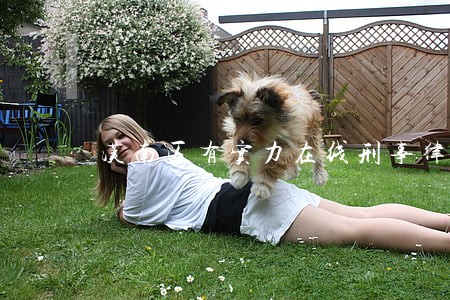 汉南区有实力在线刑事律师事务所 汉南区有实力在线刑事律师事务所