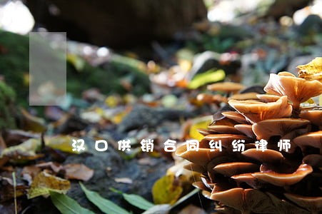 汉口供销合同纠纷律师 汉口供销合同纠纷律师