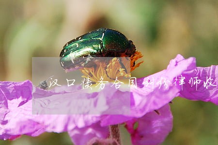 汉口债务合同纠纷律师收费标准 汉口债务合同纠纷律师收费标准