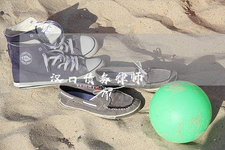 汉口债务律师 汉口债务律师