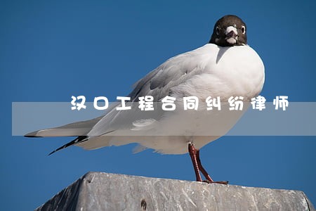 汉口工程合同纠纷律师 汉口工程合同纠纷律师