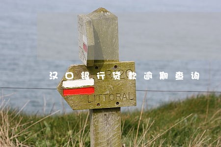 汉口银行贷款逾期查询 汉口银行贷款逾期查询