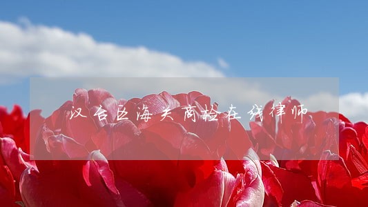 汉台区海关商检在线律师 汉台区海关商检在线律师