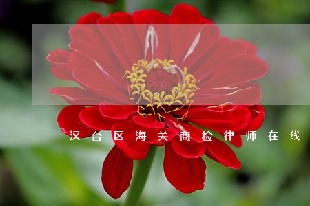 汉台区海关商检律师在线免费咨询