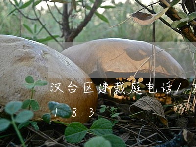 汉台区速裁庭电话/2023031503183