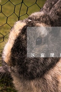 汉富理财逾期 汉富理财逾期