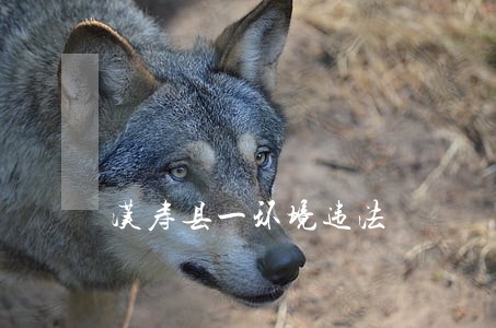 汉寿县一环境违法