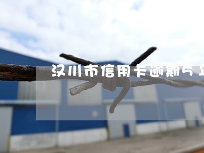 汉川市信用卡逾期5年 汉川市信用卡逾期5年
