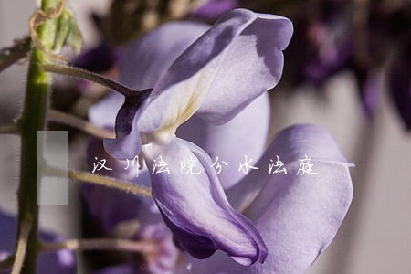 汉川法院分水法庭 汉川法院分水法庭
