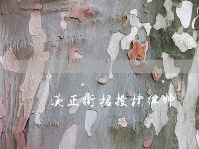 汉正街招投标律师 汉正街招投标律师