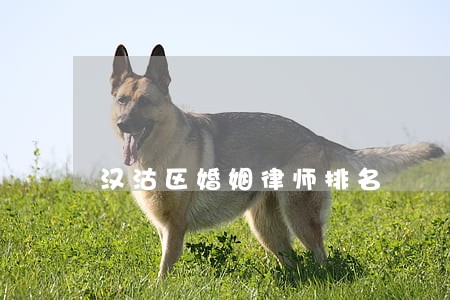 汉沽区婚姻律师排名 汉沽区婚姻律师排名