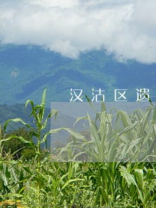 汉沽区遗产继承律师 汉沽区遗产继承律师