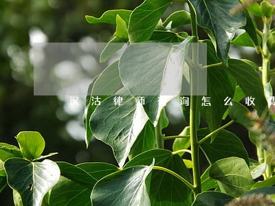 汉沽律师咨询怎么收费 汉沽律师咨询怎么收费
