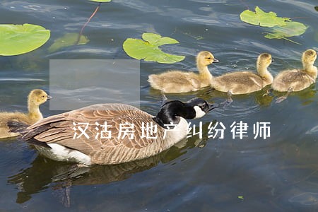 汉沽房地产纠纷律师 汉沽房地产纠纷律师