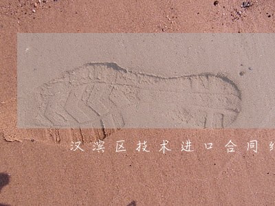 汉滨区技术进口合同纠纷律师 汉滨区技术进口合同纠纷律师