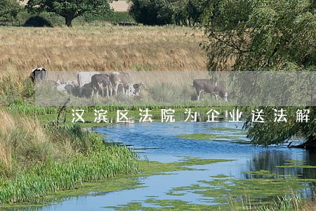 汉滨区法院为企业送法解忧 汉滨区法院为企业送法解忧