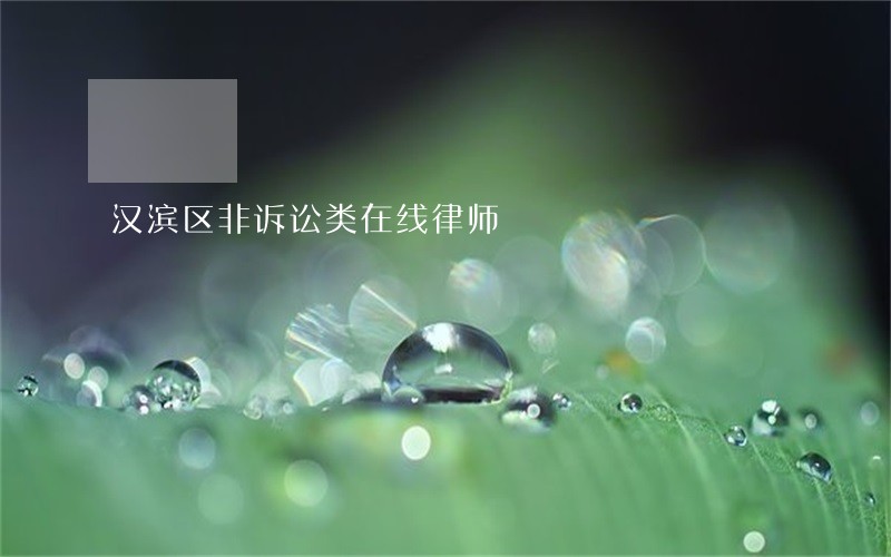 汉滨区非诉讼类在线律师 汉滨区非诉讼类在线律师