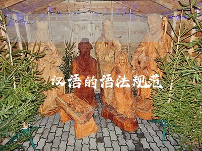 汉语的语法规范 汉语的语法规范
