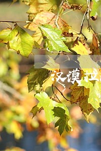 汉谟拉比法典司法制度 汉谟拉比法典司法制度