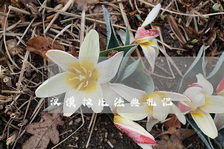 汉谟拉比法典札记 汉谟拉比法典札记
