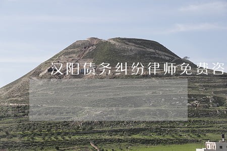 汉阳债务纠纷律师免费咨询热线 汉阳债务纠纷律师免费咨询热线