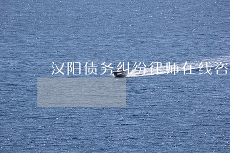 汉阳债务纠纷律师在线咨询 汉阳债务纠纷律师在线咨询