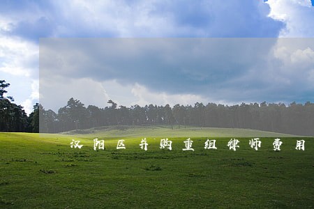 汉阳区并购重组律师费用 汉阳区并购重组律师费用