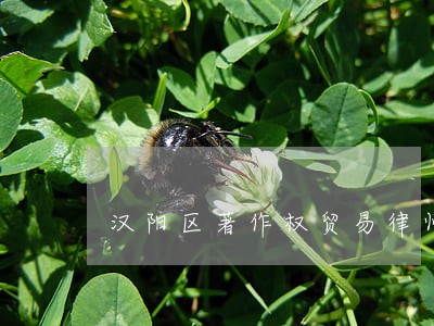 汉阳区著作权贸易律师 汉阳区著作权贸易律师