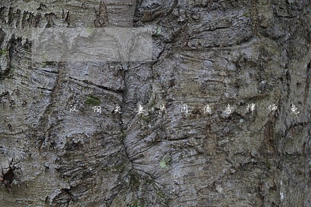 汉阳夫妻共同债务律师免费咨询 汉阳夫妻共同债务律师免费咨询