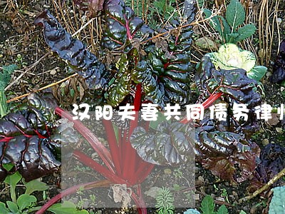 汉阳夫妻共同债务律师电话 汉阳夫妻共同债务律师电话