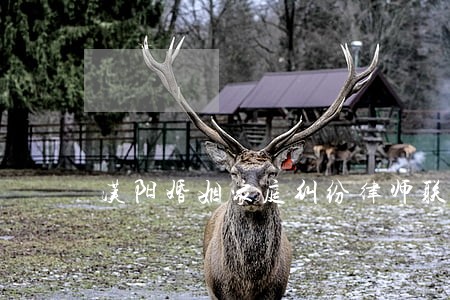 汉阳婚姻家庭纠纷律师联系方式 汉阳婚姻家庭纠纷律师联系方式